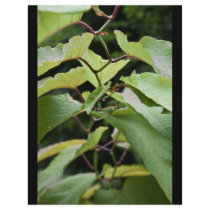 Green wet leaves flyers