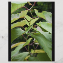 Green wet leaves flyers