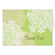 Green & White Queen Anne's Lace Thank You Cards