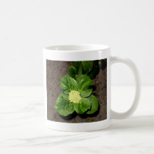 Green with Envy Keepsake Collection Mug