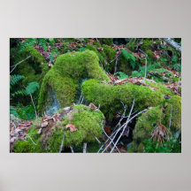 Greenage Print