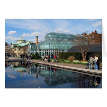 Greenhouse and Pool Greeting Cards