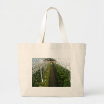 Greenhouse Bags