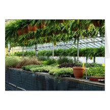 greenhouse card
