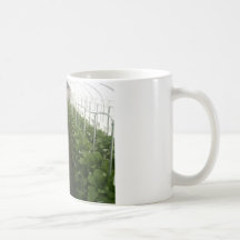 Greenhouse Coffee Mug