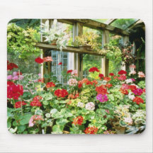 Greenhouse Containing Various Pelargoniums Mouse Pad
