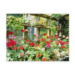 Greenhouse Containing Various Pelargoniums postcards