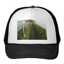 Greenhouse Hat