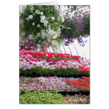 Greenhouse Notes Greeting Card