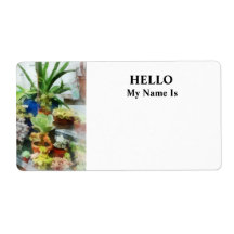 Greenhouse With Cactus Labels