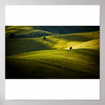 Greens and Golds Posters