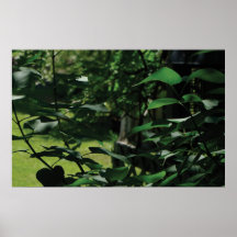 Greens of the Lilac Bush Poster