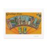 Greenville, South Carolina - Large Letter Scenes Post Cards