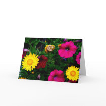 Greeting 123 Cards - Assorted Flowers