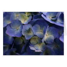 Greeting 123 Cards - Blue Flowers
