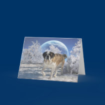 Greeting Card cards