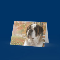 Greeting Card cards