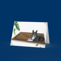 Greeting Card cards