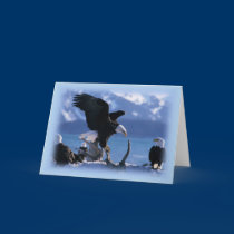 Greeting Card- Bird Series cards