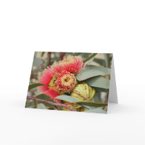GREETING CARD - Native Australian Eucalyptus