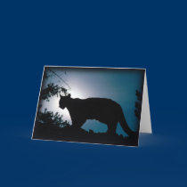 Greeting Card-Wildlife Series cards