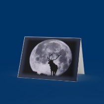 Greeting Card-Wildlife Series cards