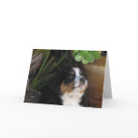 greeting cards