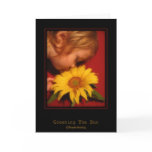 Greeting The Sun Cards