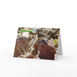 Greetings Greeting Cards