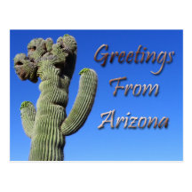 Greetings From Arizona Post Card