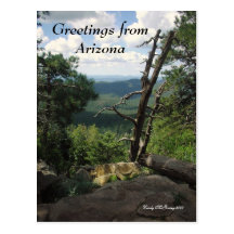 Greetings from Arizona Post Cards