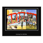 Greetings from Arizona Vintage postcard