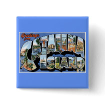 Greetings from Catalina Island, California! Pin