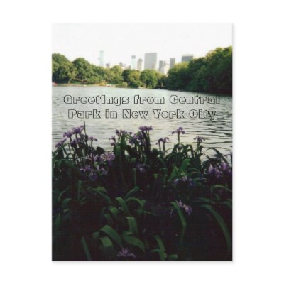 Greetings from Central Park in New York City Postcards by BeautyUnlimited
