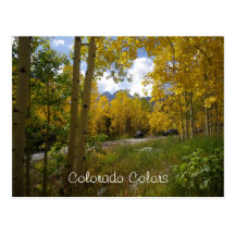 Greetings from Colorado Postcard