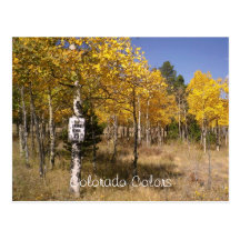 Greetings from Colorado Postcard