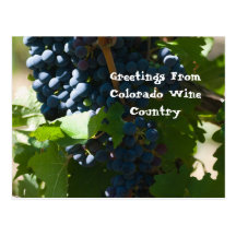 Greetings from Colorado Wine Country Post Cards