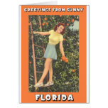 Greetings From Florida Greeting Cards