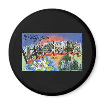 Greetings from Florida Magnets