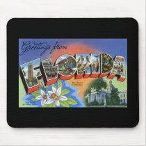 Greetings from Florida Mouse Pads