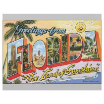 Greetings From Florida "The Land Of Sunshine", Vin Flyer Design