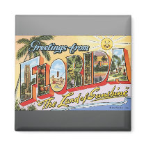 Greetings From Florida "The Land Of Sunshine", Vin Fridge Magnet