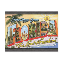 Greetings From Florida "The Land Of Sunshine", Vin Post Card
