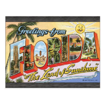 Greetings From Florida "The Land Of Sunshine", Vin Post Card