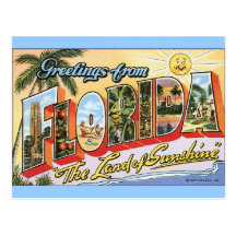 Greetings from Florida - Vintage Travel Post Card