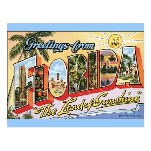 Greetings from Florida - Vintage Travel Post Card
