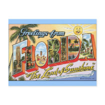 Greetings from Florida - Vintage Travel Post Card
