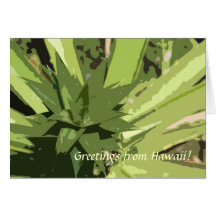 "Greetings from Hawaii"! Note Card