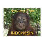 Greetings from INDONESIA Photo Postcards