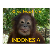 Greetings from INDONESIA Photo Postcards